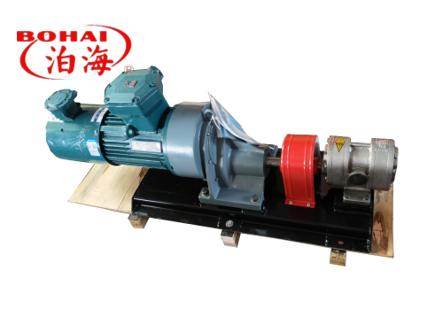 Stainless steel external lubricated gear pump