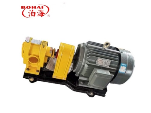 2CY Series of gear pumps