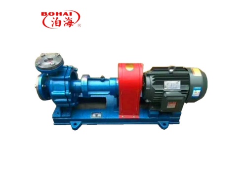 RY Heat conduction oil pump