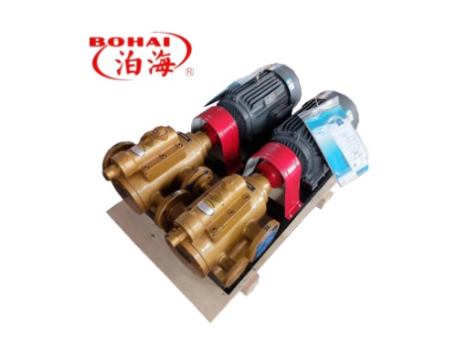 SNF Type 3 screw pump