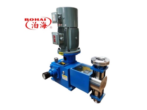 positon plunger metering/dosing pump