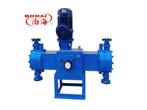 positon plunger metering/dosing pump