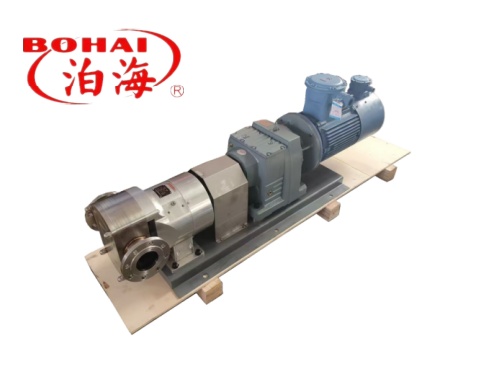 Food grade rotor pump