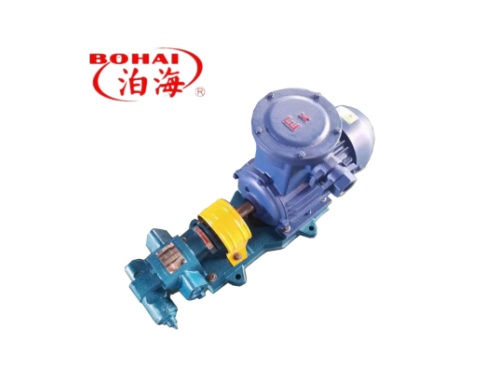 Gear transfer pump