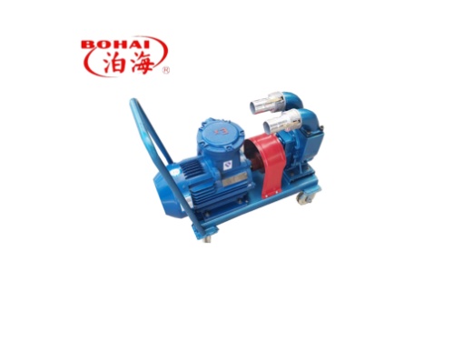 YHCB car circular arc pump