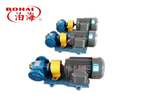 2CG Type high temperature oil pump