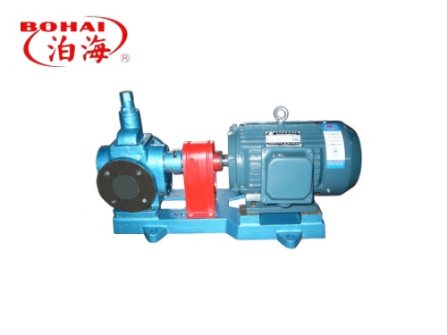 KCG Type high temperature gear oil pump