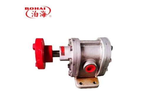 2CY Stainless steel gear pump