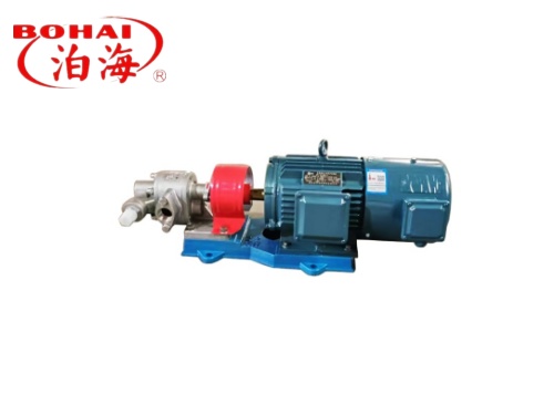 F Series stainless steel gear pump