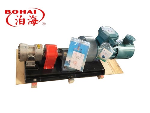  Stainless steel external lubricated gear pump