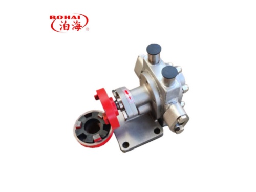 Stainless steel geared oil pump