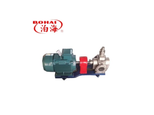 Stainless steel circular gear pump